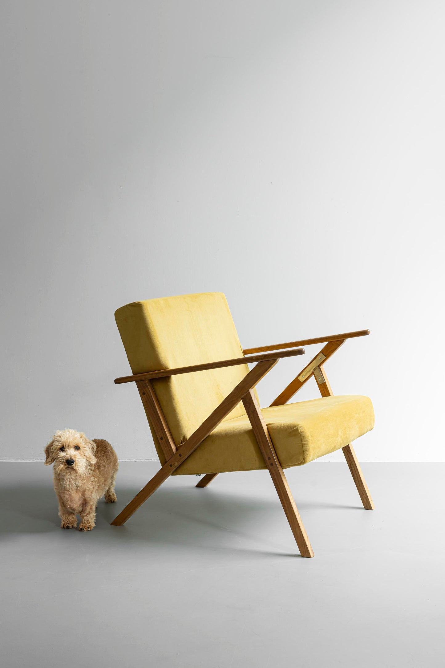 Lounge Chair